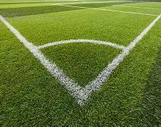 王楚钦总分,第一,北大研究生,世界杯直播,2026世界杯,赛事直播,观看指南,球迷推荐