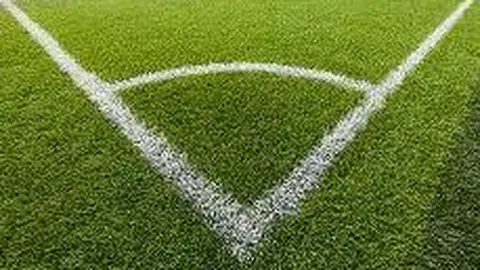 王楚钦总分第一，北大研究生录取资格尘埃落定